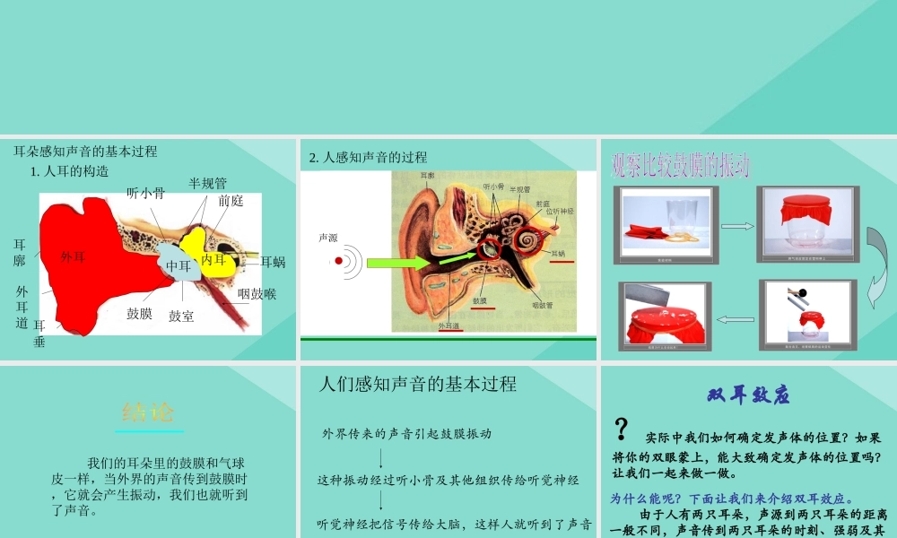 四年级科学上册 第1单元 声音 4《我们是怎样听到声音的》课件1 教科版-教科版小学四年级上册自然科学课件