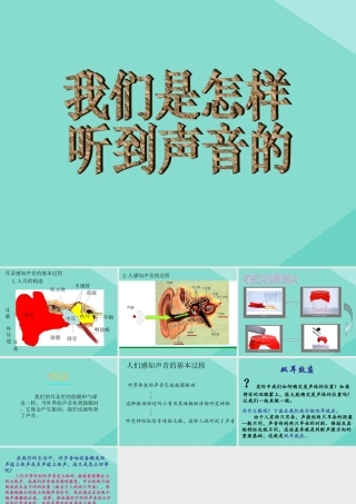 四年级科学上册 第1单元 声音 4《我们是怎样听到声音的》课件1 教科版-教科版小学四年级上册自然科学课件