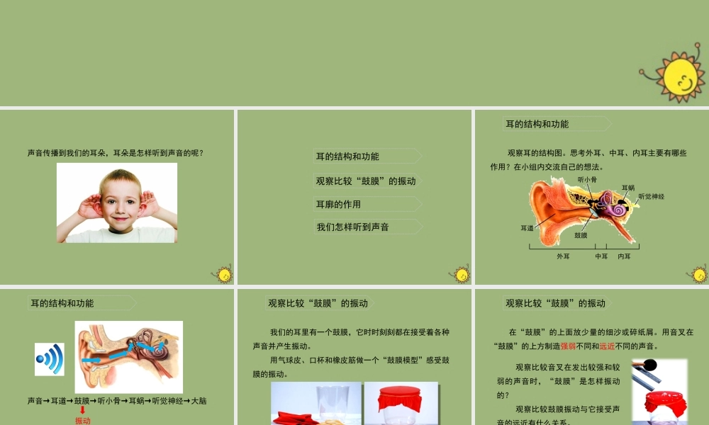 四年级科学上册 第1单元 声音 4《我们是怎样听到声音的》课件2 教科版-教科版小学四年级上册自然科学课件