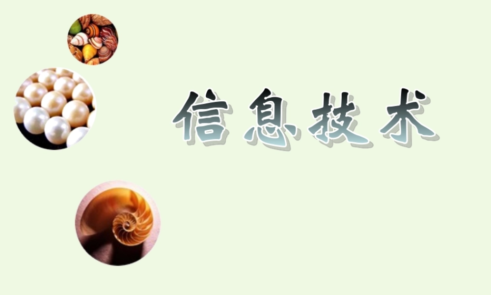 四年级信息技术上册 第2课 我的小简历课件1 冀教版-冀教版小学四年级上册信息技术课件