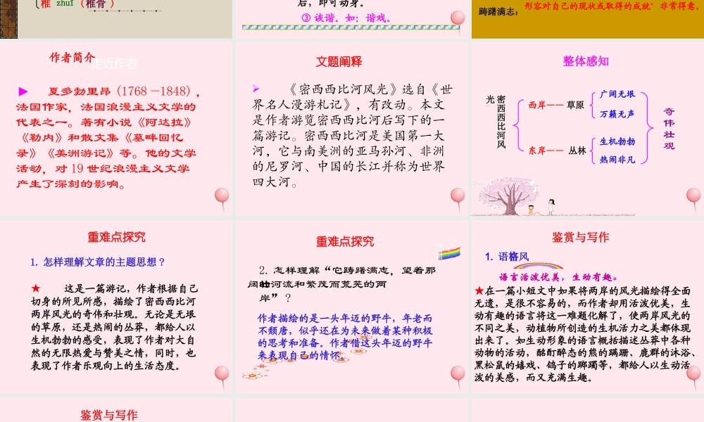 六年级语文下册 第一单元 第3课《密西西比河风光》课件 西师大版-西师大版小学六年级下册语文课件