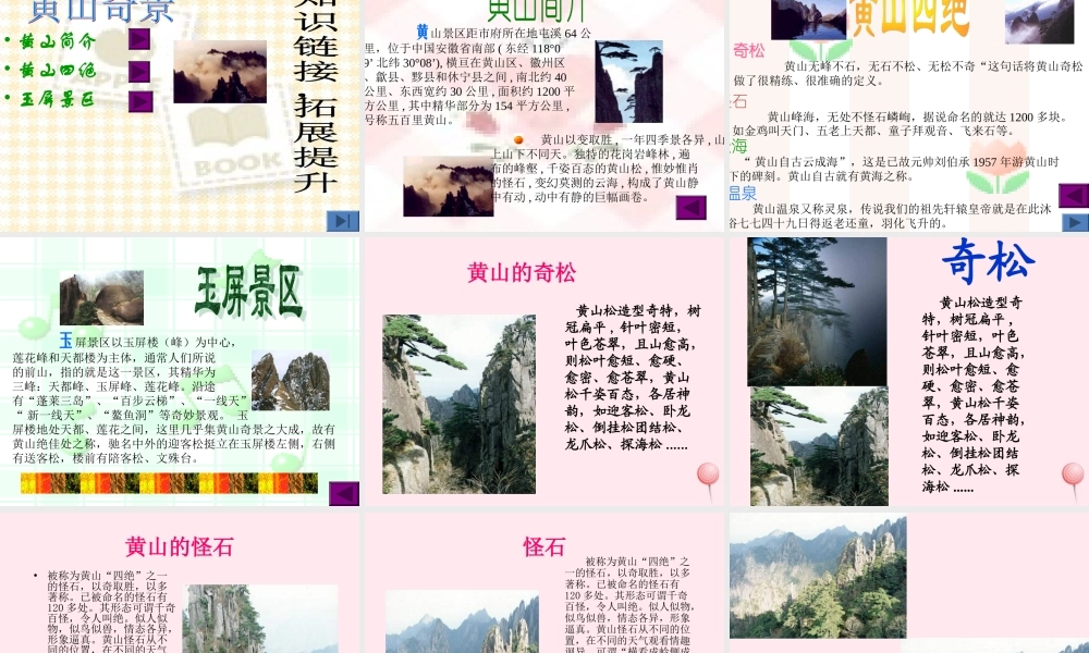 六年级语文下册 第一单元 第4课《黄山松》课件 西师大版-西师大版小学六年级下册语文课件