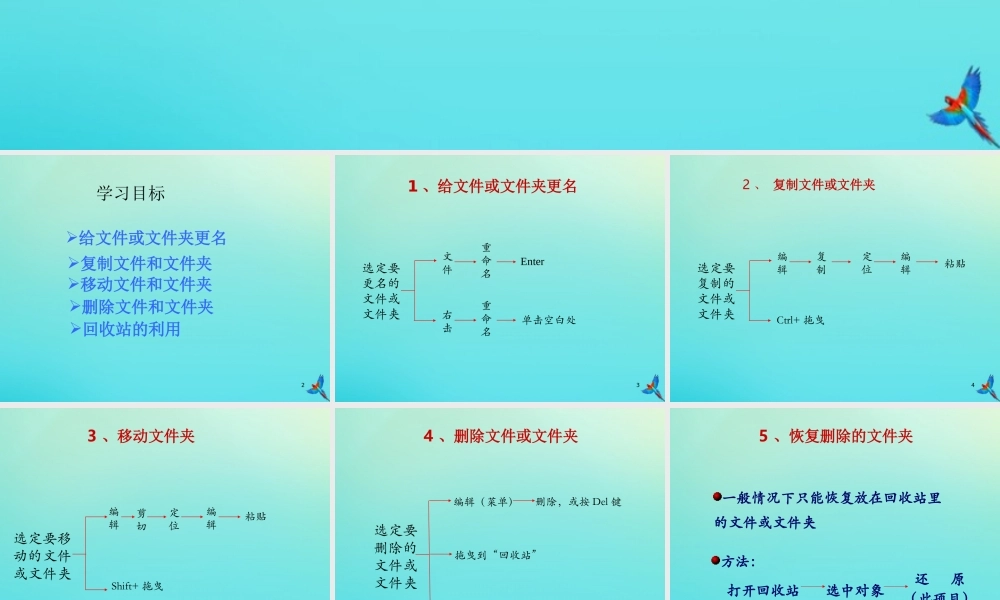 四年级信息技术下册 第2课 整理自己的文件和文件夹《整理文件和文件夹》课件 川教版-川教版小学四年级下册信息技术课件