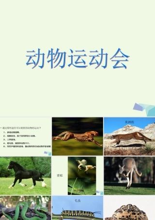 四年级科学上册 第2课 动物运动会课件1 冀教版-冀教版小学四年级上册自然科学课件