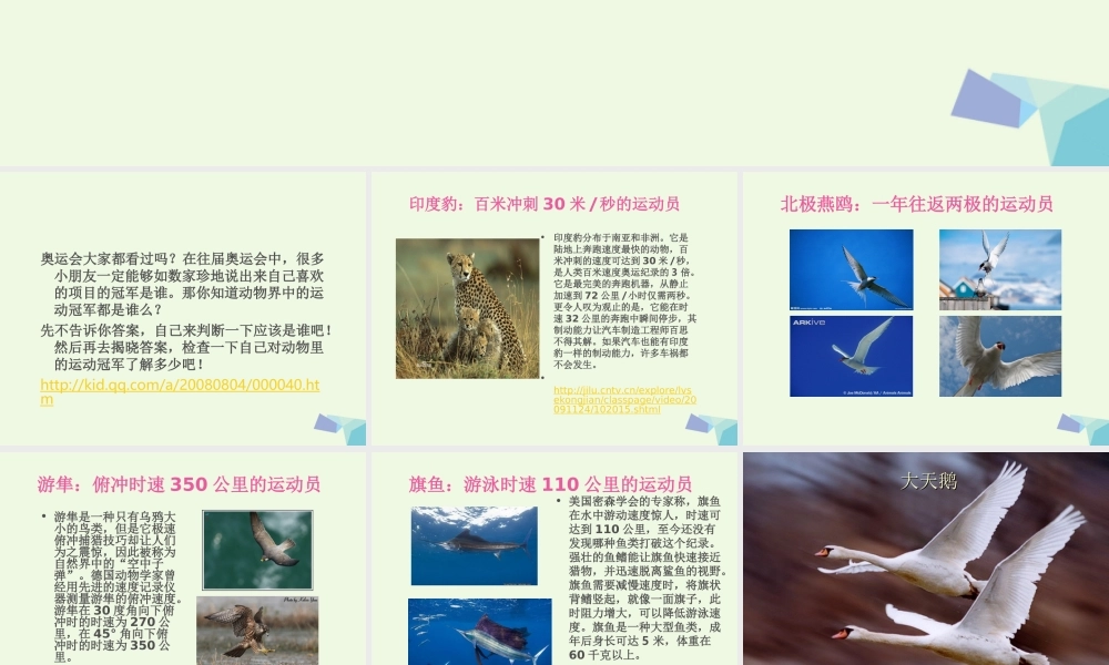 四年级科学上册 第2课 动物运动会课件2 冀教版-冀教版小学四年级上册自然科学课件