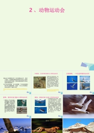 四年级科学上册 第2课 动物运动会课件2 冀教版-冀教版小学四年级上册自然科学课件