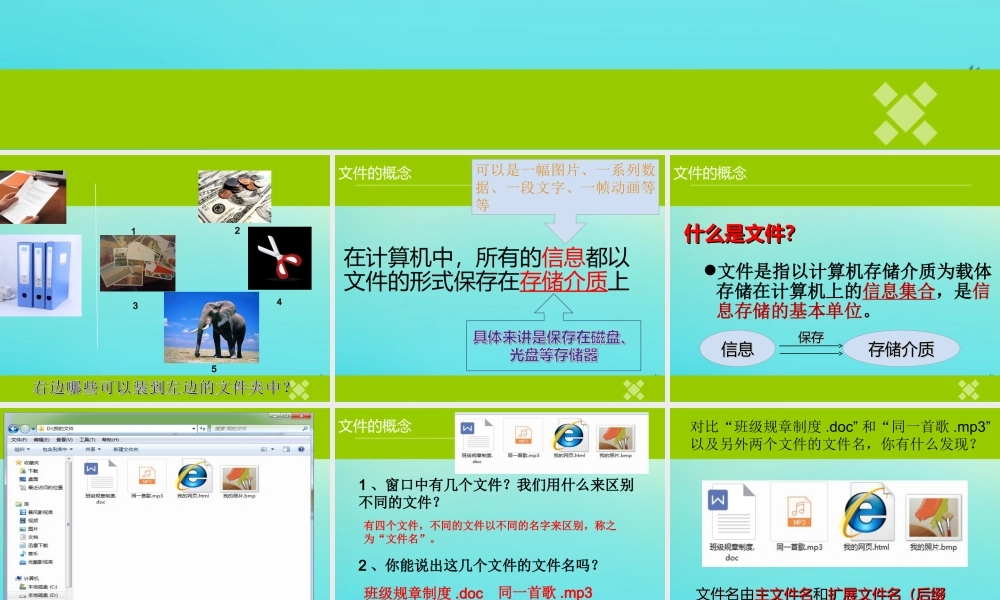 四年级信息技术下册 第3课 文件和文件夹课件 河大版-河大版小学四年级下册信息技术课件