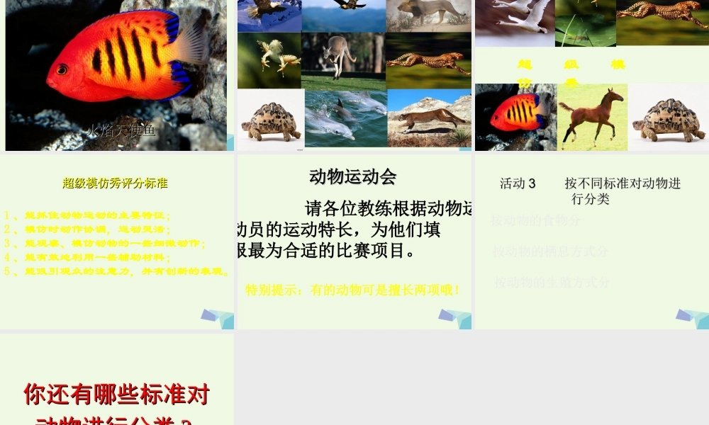 四年级科学上册 第2课 动物运动会课件3 冀教版-冀教版小学四年级上册自然科学课件