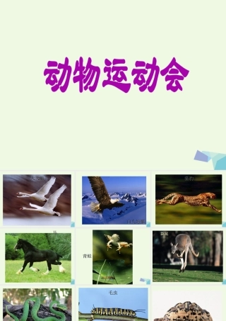 四年级科学上册 第2课 动物运动会课件3 冀教版-冀教版小学四年级上册自然科学课件