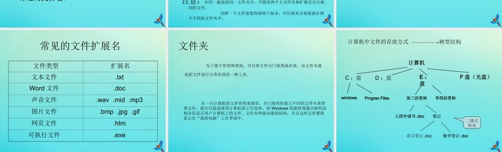 四年级信息技术下册 第3课《文件和文件夹》课件 河大版-河大版小学四年级下册信息技术课件