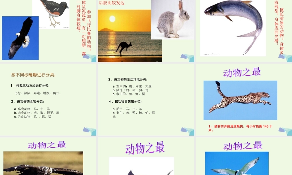 四年级科学上册 第2课 动物运动会课件5 冀教版-冀教版小学四年级上册自然科学课件