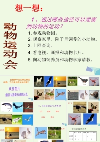 四年级科学上册 第2课 动物运动会课件5 冀教版-冀教版小学四年级上册自然科学课件