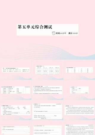 六年级语文下册 第五单元综合测试课件 新人教版-新人教版小学六年级下册语文课件