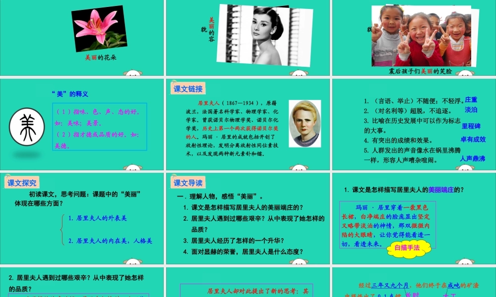 六年级语文下册 第五组 18 跨越百年的美丽教学课件 新人教版-新人教版小学六年级下册语文课件