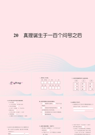 六年级语文下册 第五组 20真理诞生于一百个问号之后习题课件 新人教版-新人教版小学六年级下册语文课件