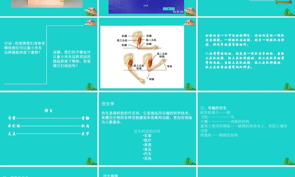 四年级科学上册 第4课 小吊车课件2 冀教版-冀教版小学四年级上册自然科学课件
