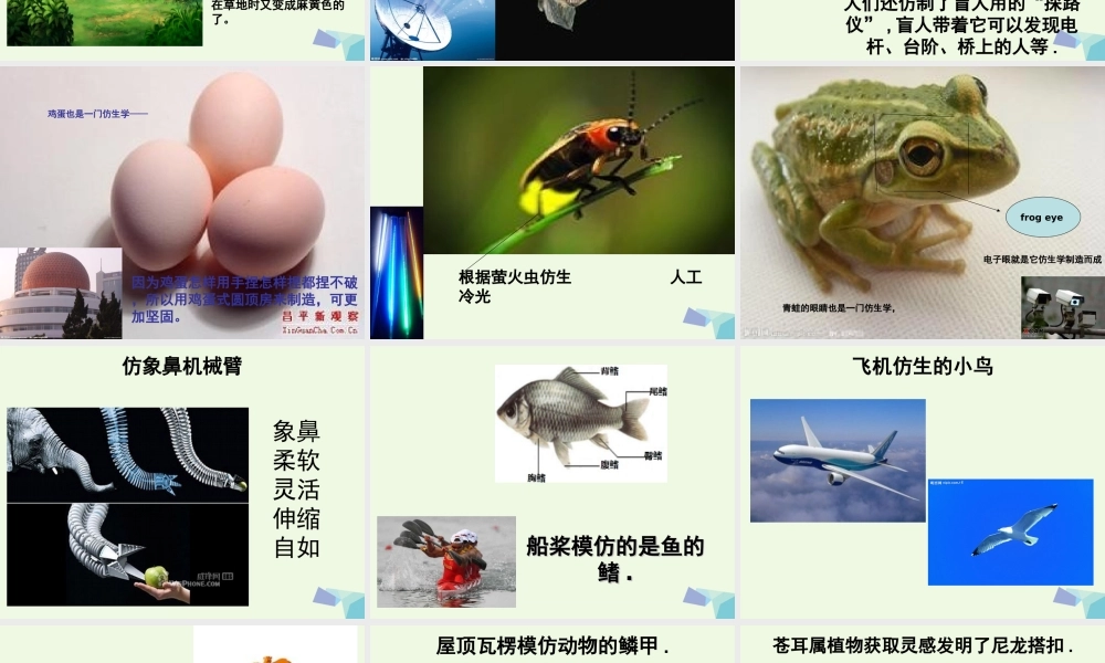 四年级科学上册 第4课 小吊车课件3 冀教版-冀教版小学四年级上册自然科学课件