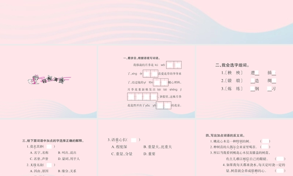 六年级语文下册 第一组 3桃花心木习题课件 新人教版-新人教版小学六年级下册语文课件