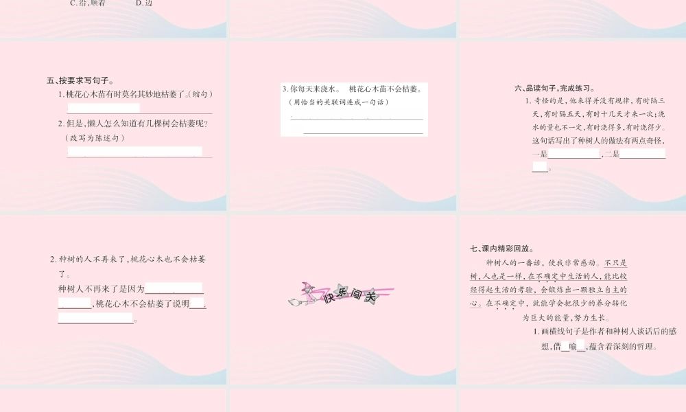 六年级语文下册 第一组 3桃花心木习题课件 新人教版-新人教版小学六年级下册语文课件