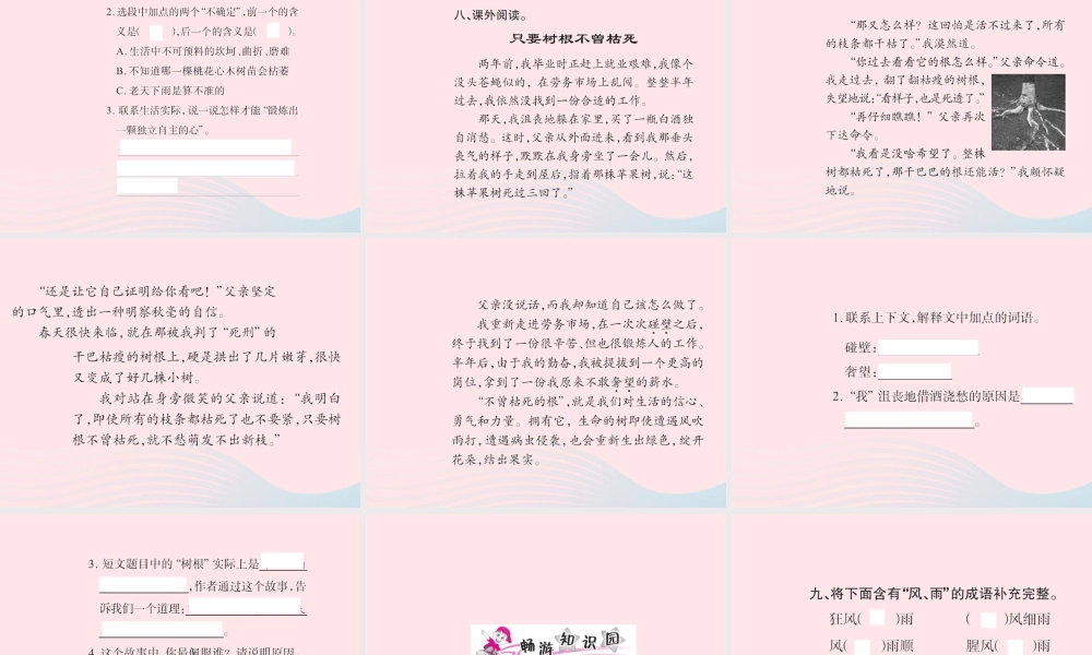 六年级语文下册 第一组 3桃花心木习题课件 新人教版-新人教版小学六年级下册语文课件