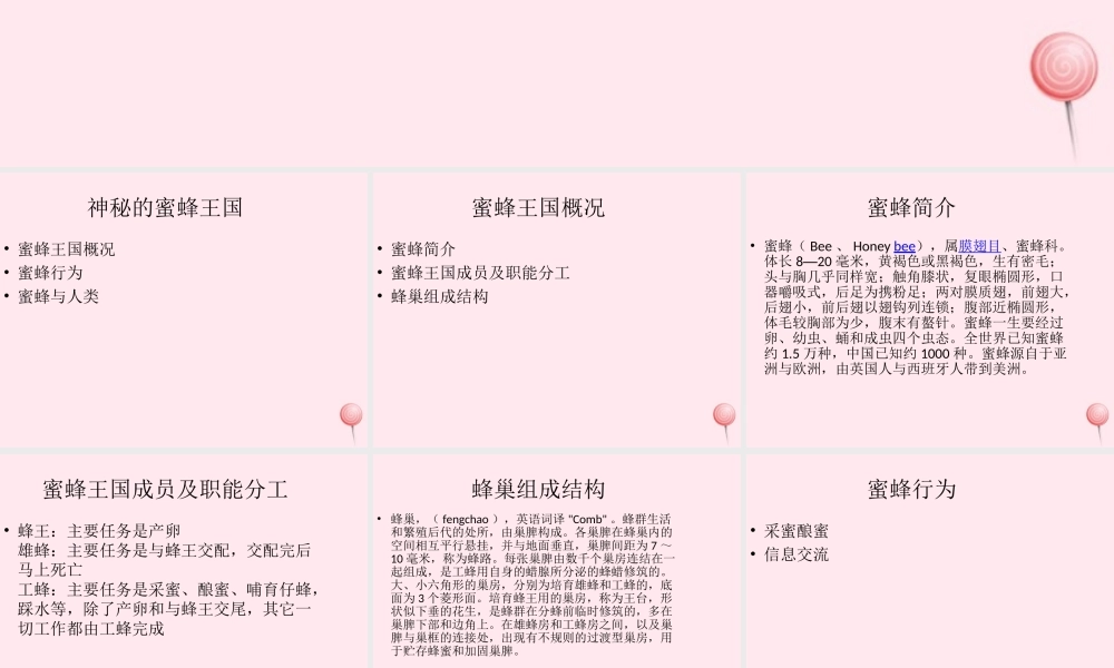 四年级信息技术下册 第16课《神秘的蜜蜂王国》课件1 冀教版-冀教版小学四年级下册信息技术课件