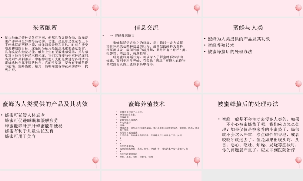 四年级信息技术下册 第16课《神秘的蜜蜂王国》课件1 冀教版-冀教版小学四年级下册信息技术课件