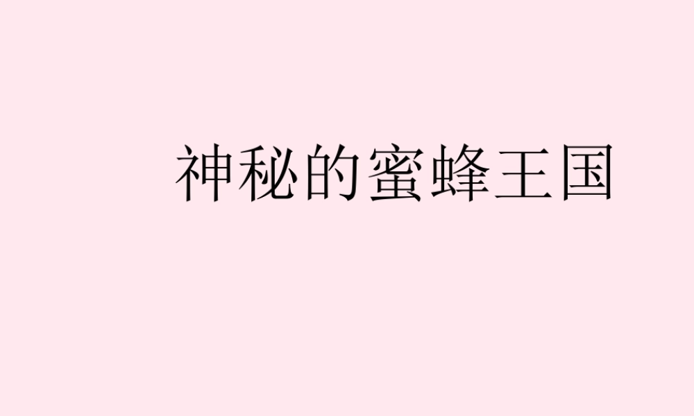 四年级信息技术下册 第16课《神秘的蜜蜂王国》课件2 冀教版-冀教版小学四年级下册信息技术课件