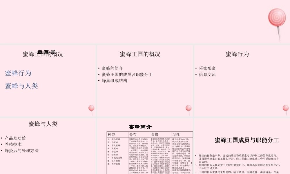 四年级信息技术下册 第16课《神秘的蜜蜂王国》课件2 冀教版-冀教版小学四年级下册信息技术课件