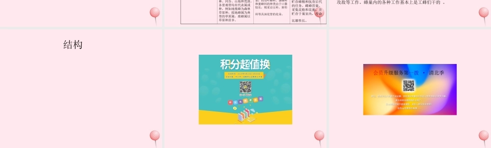 四年级信息技术下册 第16课《神秘的蜜蜂王国》课件2 冀教版-冀教版小学四年级下册信息技术课件