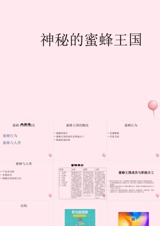 四年级信息技术下册 第16课《神秘的蜜蜂王国》课件2 冀教版-冀教版小学四年级下册信息技术课件