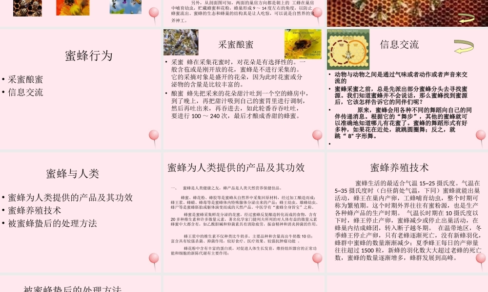 四年级信息技术下册 第16课《神秘的蜜蜂王国》课件3 冀教版-冀教版小学四年级下册信息技术课件