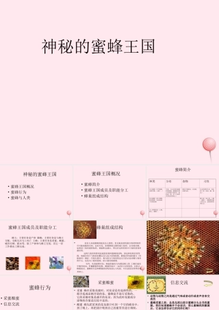 四年级信息技术下册 第16课《神秘的蜜蜂王国》课件3 冀教版-冀教版小学四年级下册信息技术课件