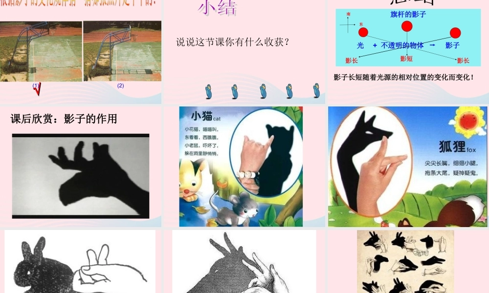 四年级科学上册 第4课《旗杆的影子》课件（3） 鄂教版-鄂教版小学四年级上册自然科学课件