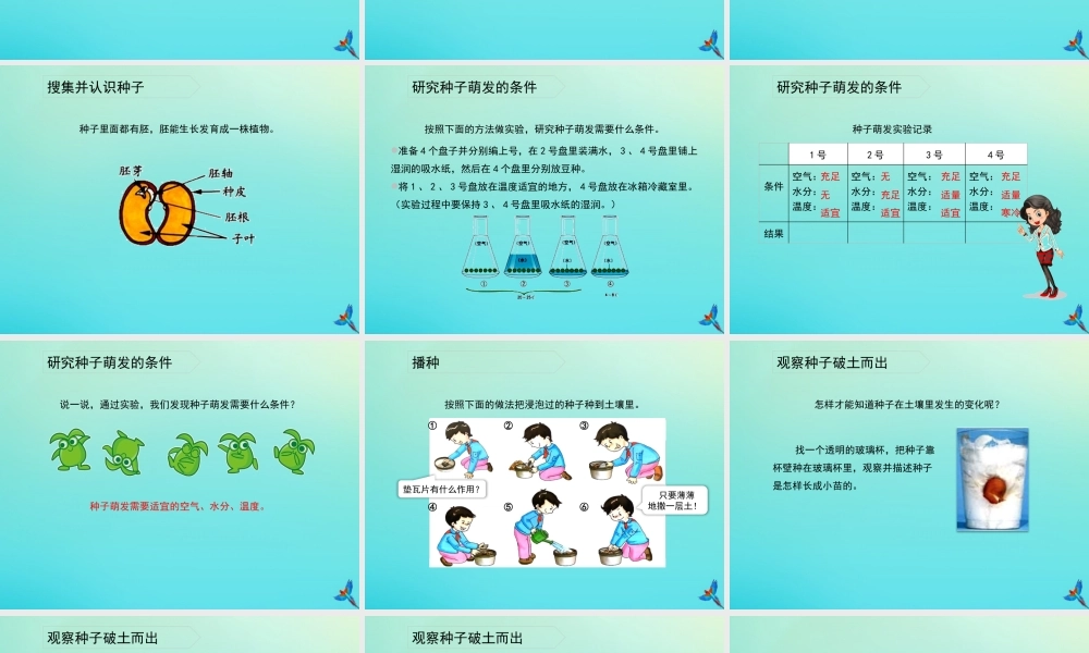四年级科学下册 第1单元 植物的一生 1.1 播撒希望的种子课件 （新版）湘科版-人教级下册自然科学课件