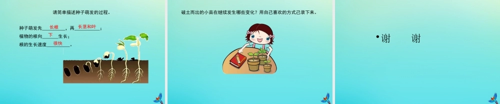 四年级科学下册 第1单元 植物的一生 1.1 播撒希望的种子课件 （新版）湘科版-人教级下册自然科学课件