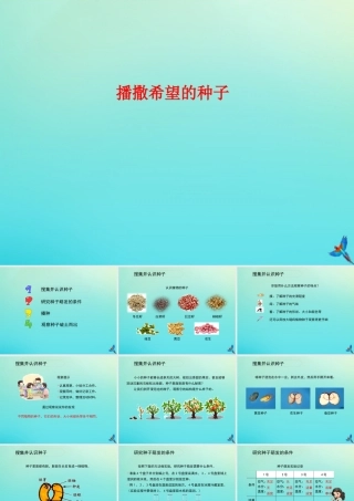 四年级科学下册 第1单元 植物的一生 1.1 播撒希望的种子课件 （新版）湘科版-人教级下册自然科学课件