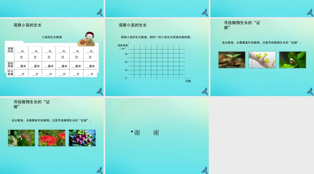 四年级科学下册 第1单元 植物的一生 1.2 小苗快快长课件 （新版）湘科版-人教级下册自然科学课件