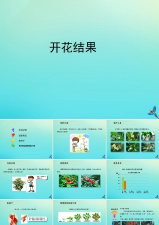 四年级科学下册 第1单元 植物的一生 1.3 开花结果课件1 （新版）湘科版-人教版小学四年级下册自然科学课件