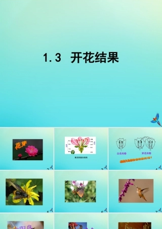 四年级科学下册 第1单元 植物的一生 1.3 开花结果课件2 （新版）湘科版-人教版小学四年级下册自然科学课件