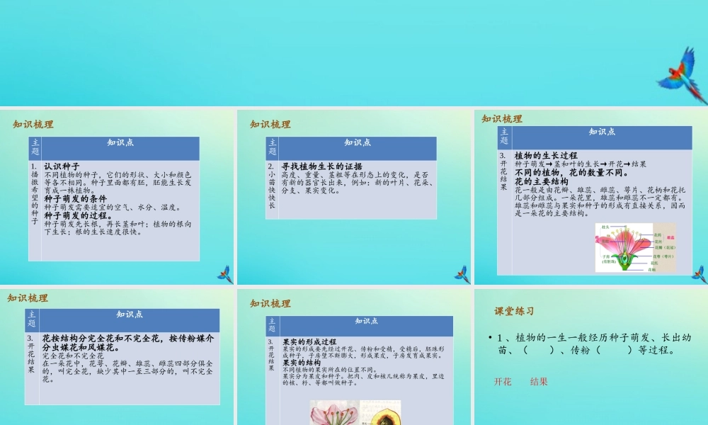 四年级科学下册 第1单元 植物的一生复习课件 （新版）湘科版-人教版小学四年级下册自然科学课件