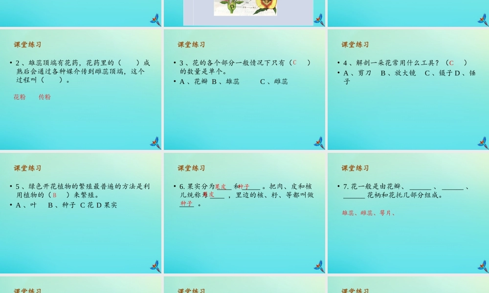 四年级科学下册 第1单元 植物的一生复习课件 （新版）湘科版-人教版小学四年级下册自然科学课件