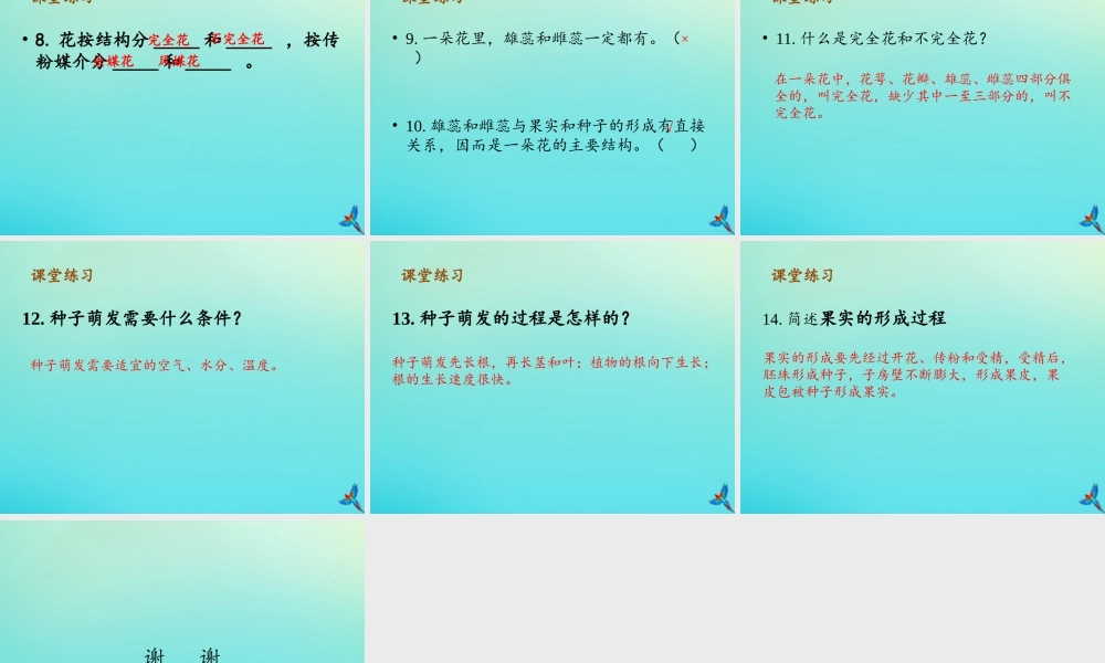 四年级科学下册 第1单元 植物的一生复习课件 （新版）湘科版-人教版小学四年级下册自然科学课件