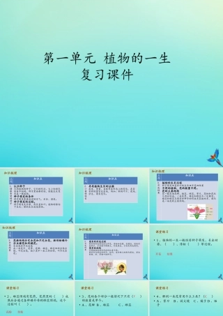 四年级科学下册 第1单元 植物的一生复习课件 （新版）湘科版-人教版小学四年级下册自然科学课件