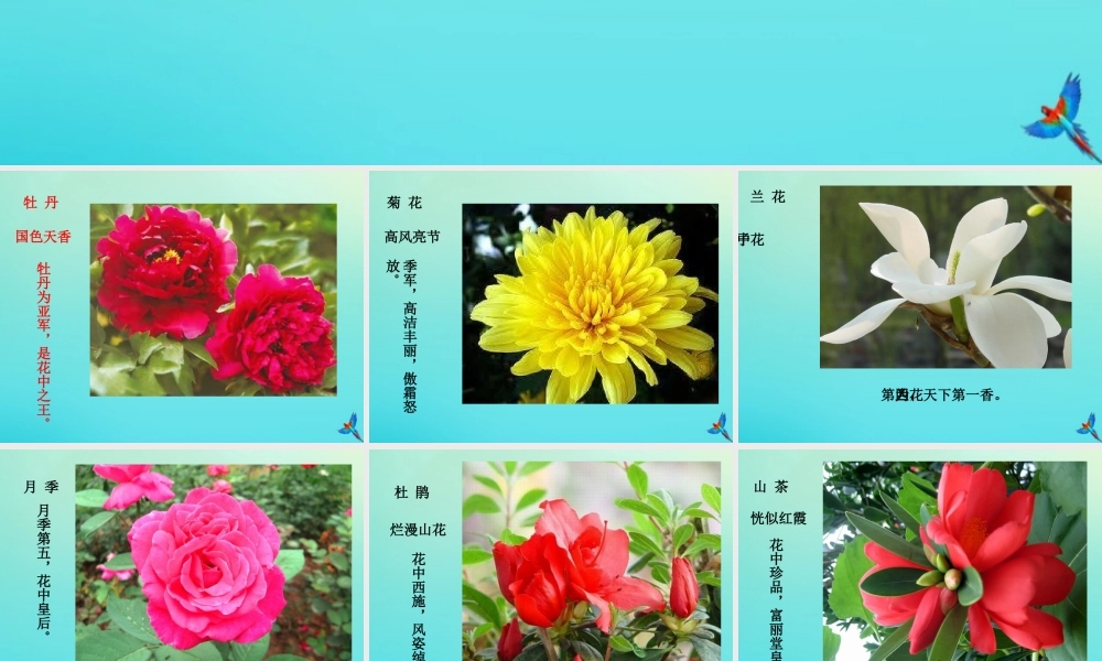 四年级科学下册 第2单元 生生不息 2.1 花开花落为哪般课件 （新版）湘科版-人教版小学四年级下册自然科学课件