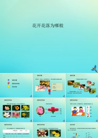 四年级科学下册 第2单元 生生不息 2.1 花开花落为哪般课件 （新版）湘科版-人教级下册自然科学课件