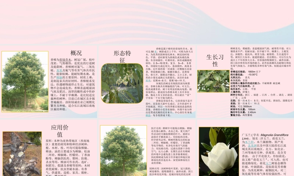 四年级科学上册 第6课《校园里有哪些动植物》课件（1） 鄂教版-鄂教版小学四年级上册自然科学课件