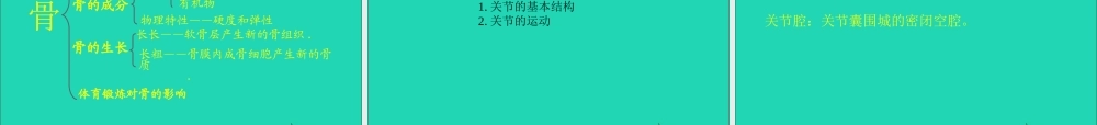 四年级科学下册 1.1 骨骼课件 苏教版-苏教版小学四年级下册自然科学课件