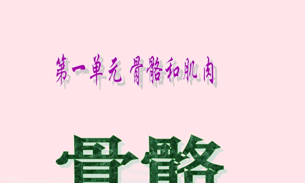 四年级科学下册 1.1 骨骼课件1 苏教版-苏教版小学四年级下册自然科学课件