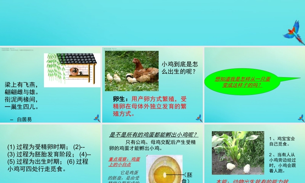 四年级科学下册 第2单元 生生不息 2.3 翩翩雌与雄课件 （新版）湘科版-人教版小学四年级下册自然科学课件