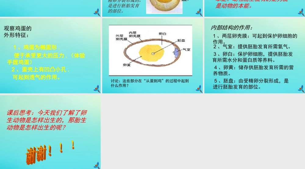 四年级科学下册 第2单元 生生不息 2.3 翩翩雌与雄课件 （新版）湘科版-人教版小学四年级下册自然科学课件